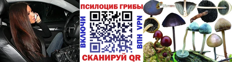 Купить  Казань  Галлюциногенные грибы Cubensis 